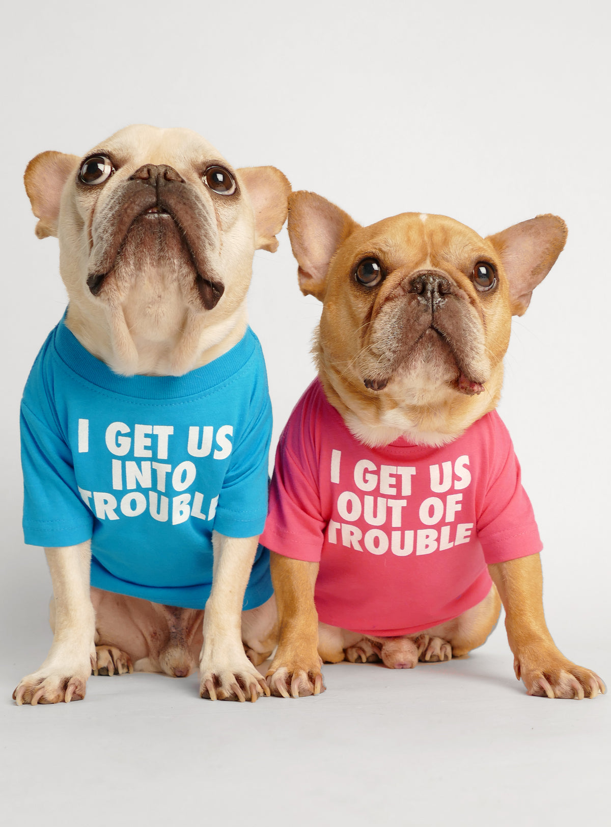 I Get Us Into + Out Of Trouble (2-Pack) Dog Tee
