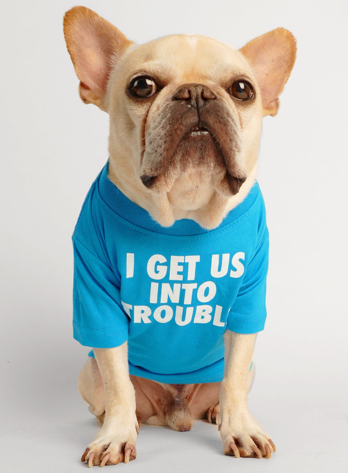 I Get Us Into Trouble Dog Tee