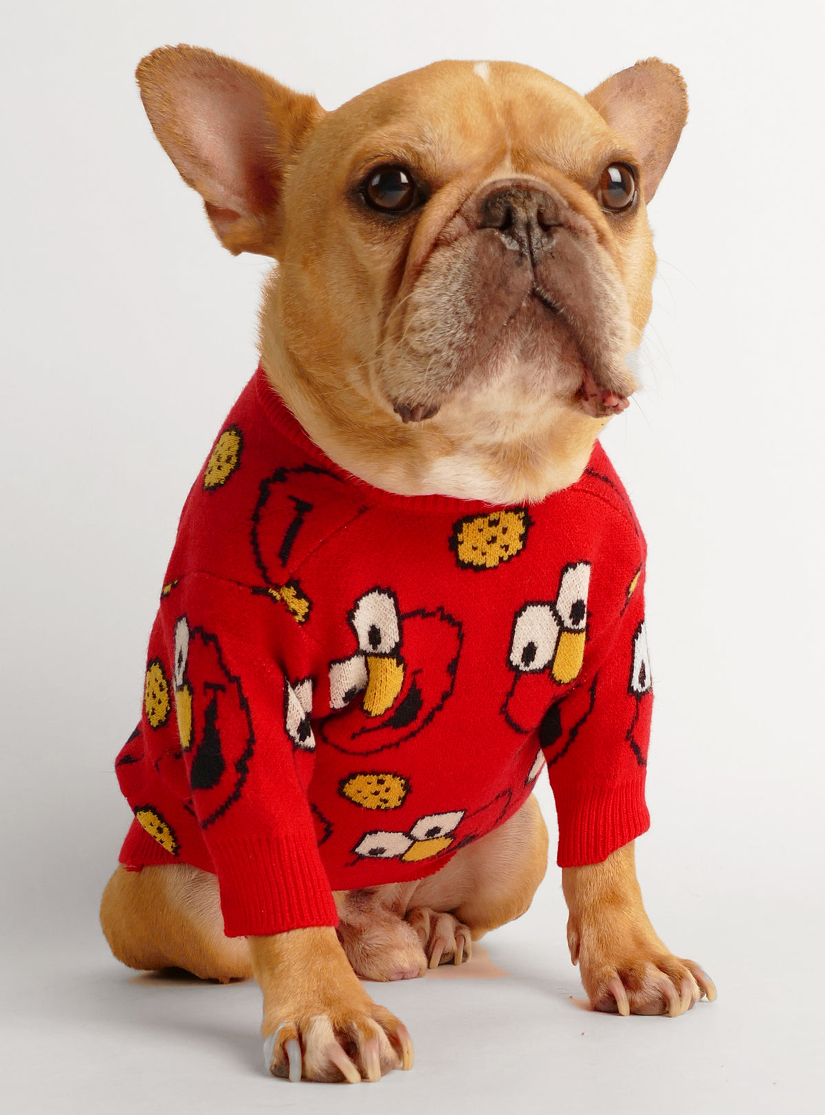 Elmo&#39;s World Dog Sweater