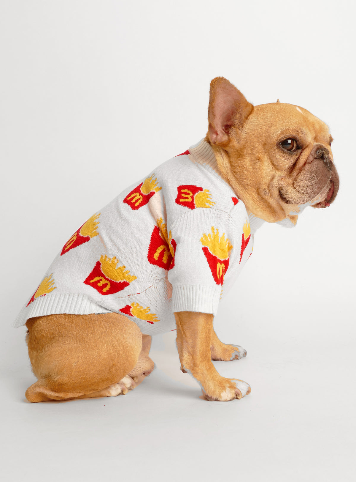 French Fried Dog Sweater