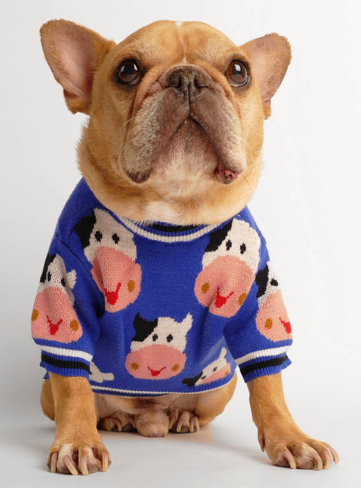 Moo Meadows Dog Sweater