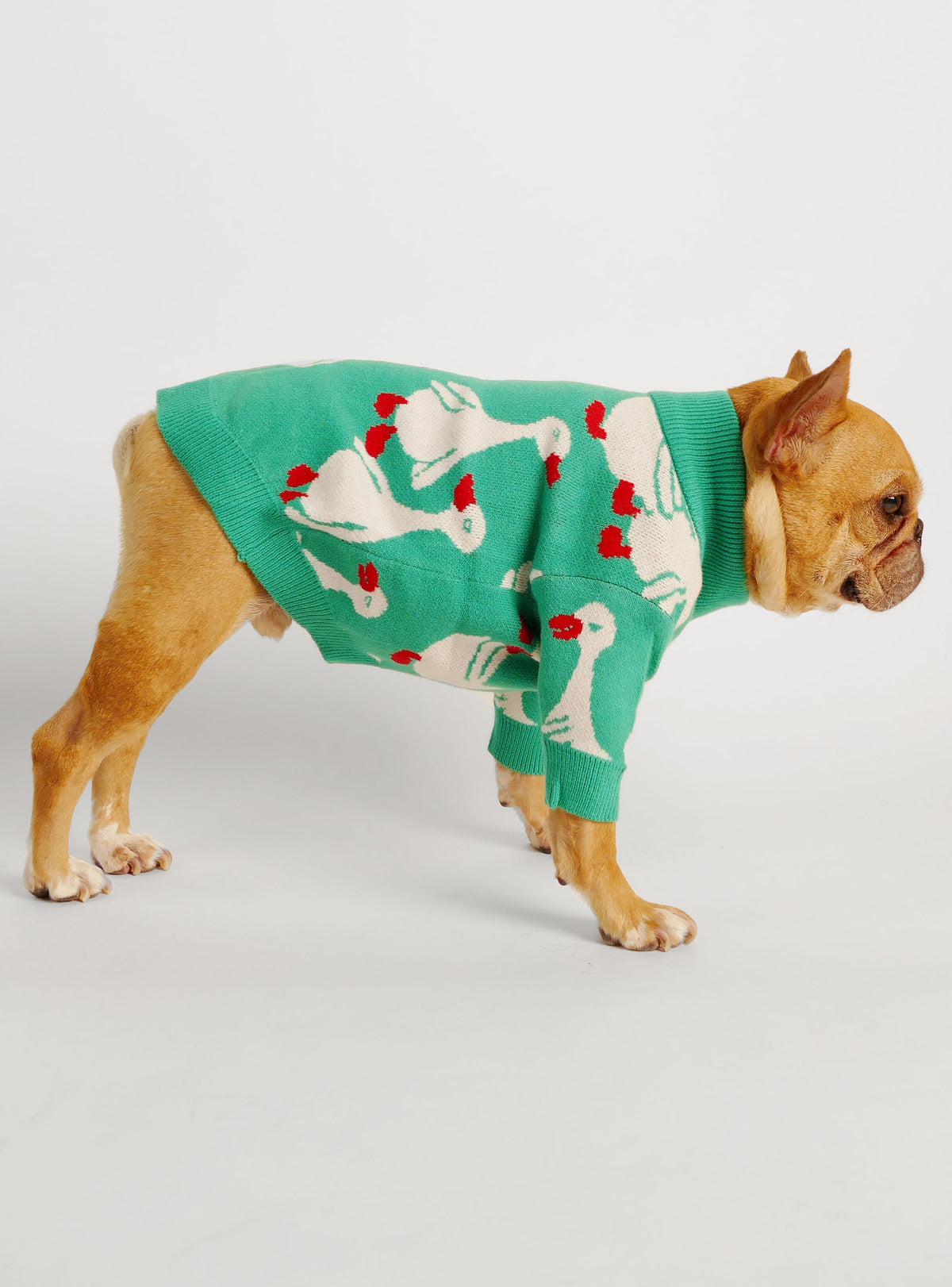 Duck Tales Dog Sweater