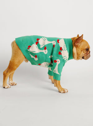Fetch Dog Sweater - Club Huey