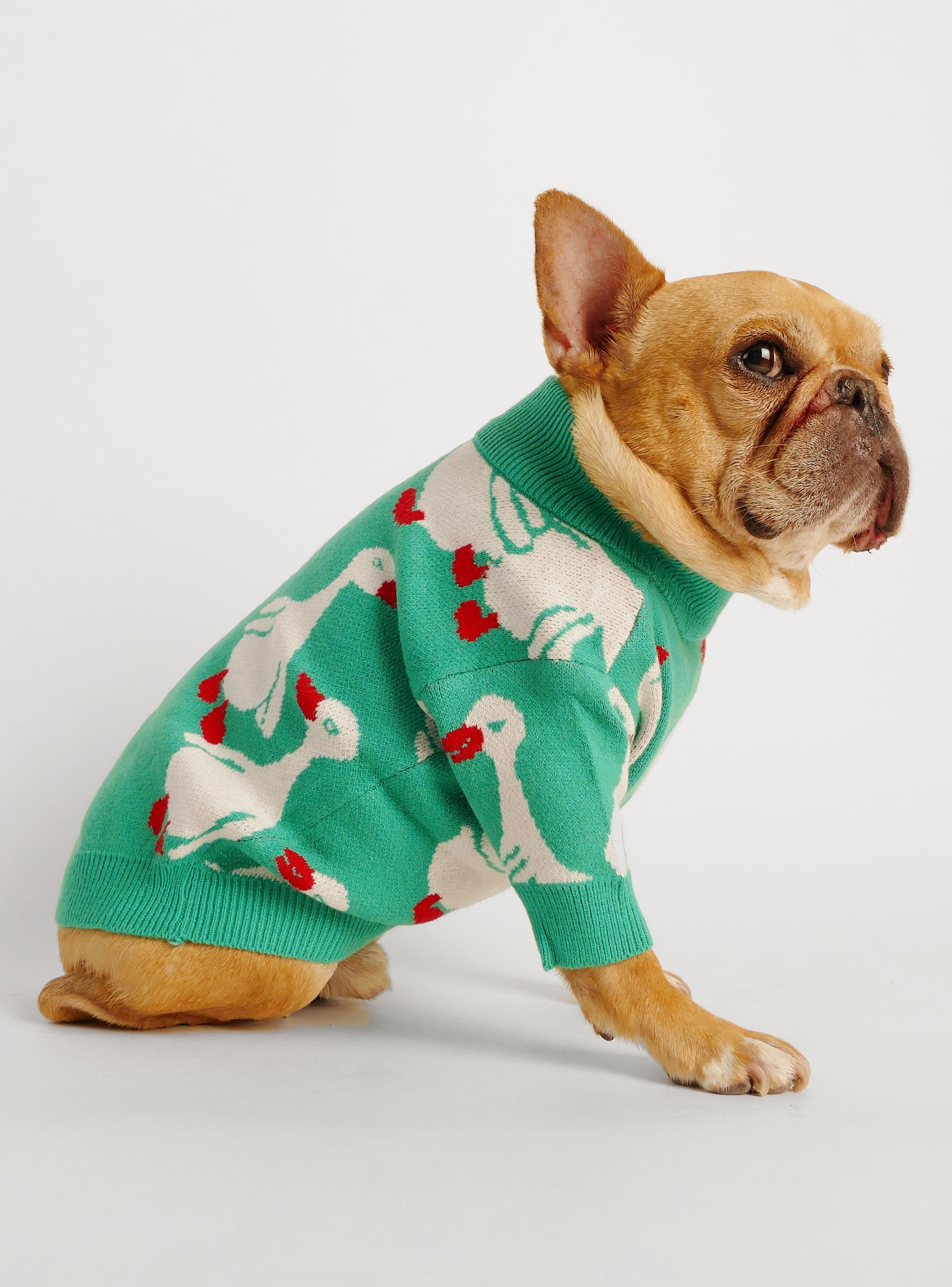 Louie Louie Dog Sweater - Club Huey