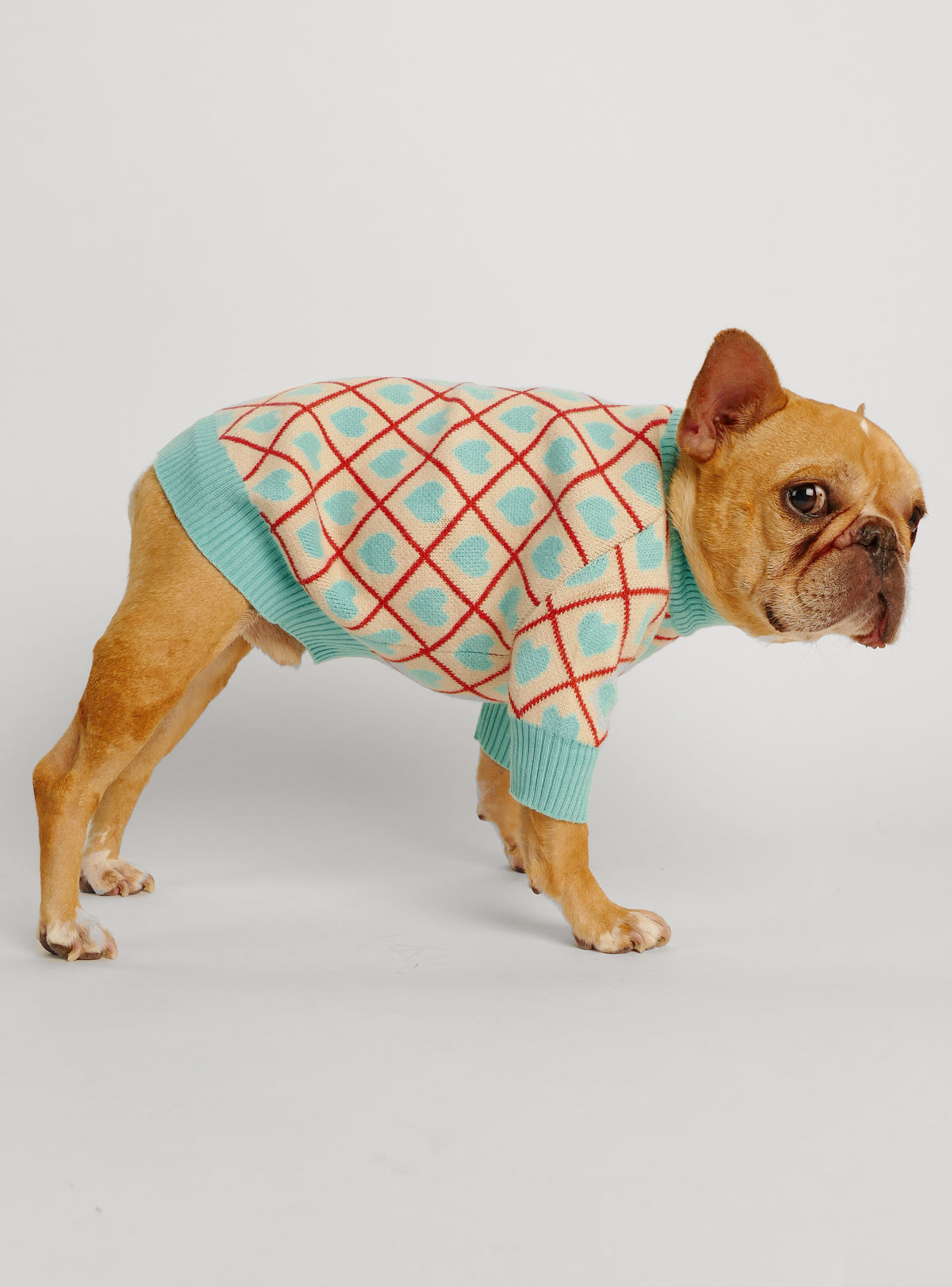 Hearts Collide Dog Sweater