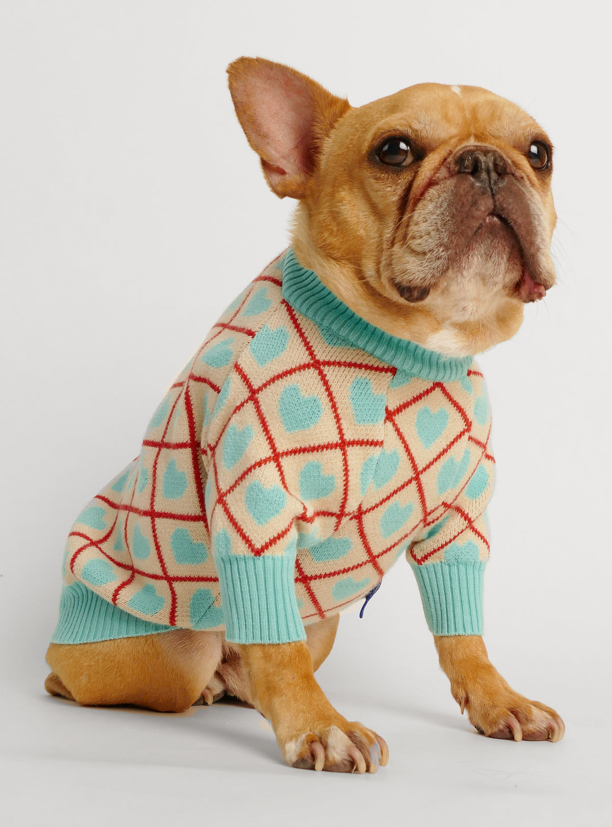 Hearts Collide Dog Sweater