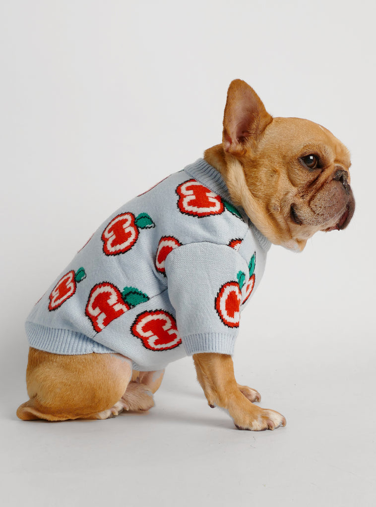 Apple Cider Dog Sweater - Club Huey