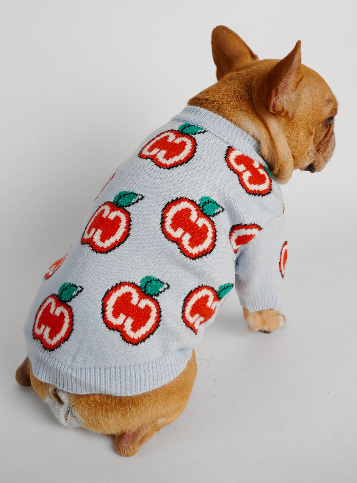 Apple Cider Dog Sweater
