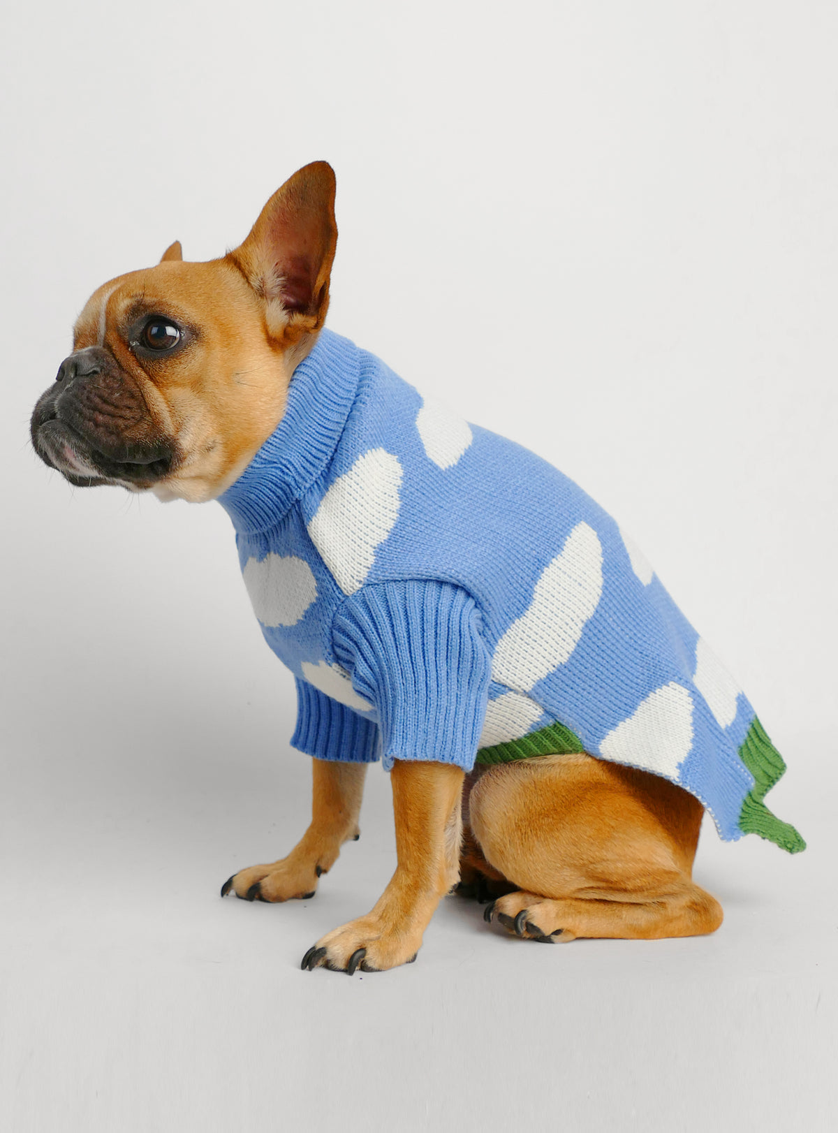 Cloudy Days Dog Sweater