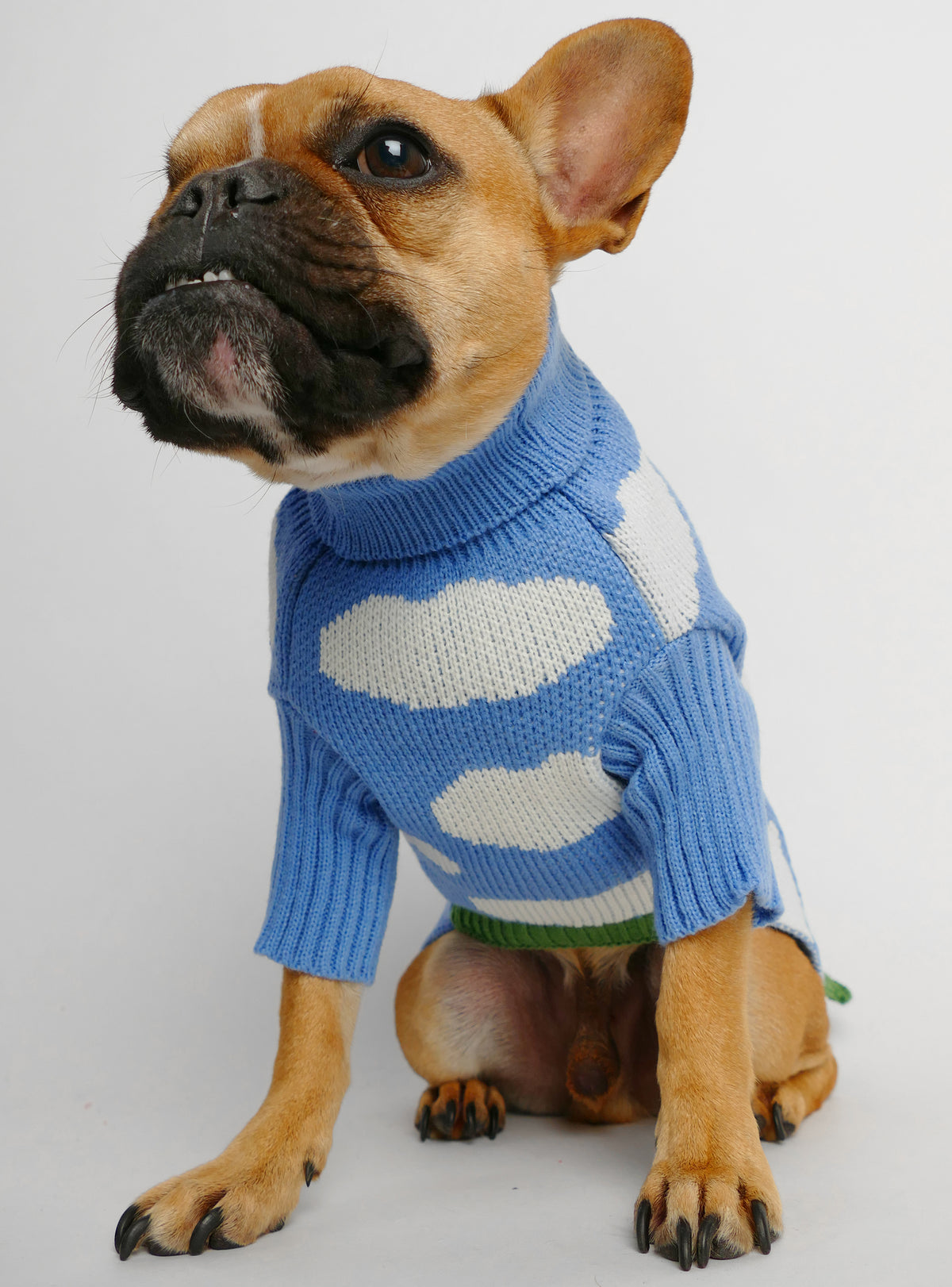 Cloudy Days Dog Sweater
