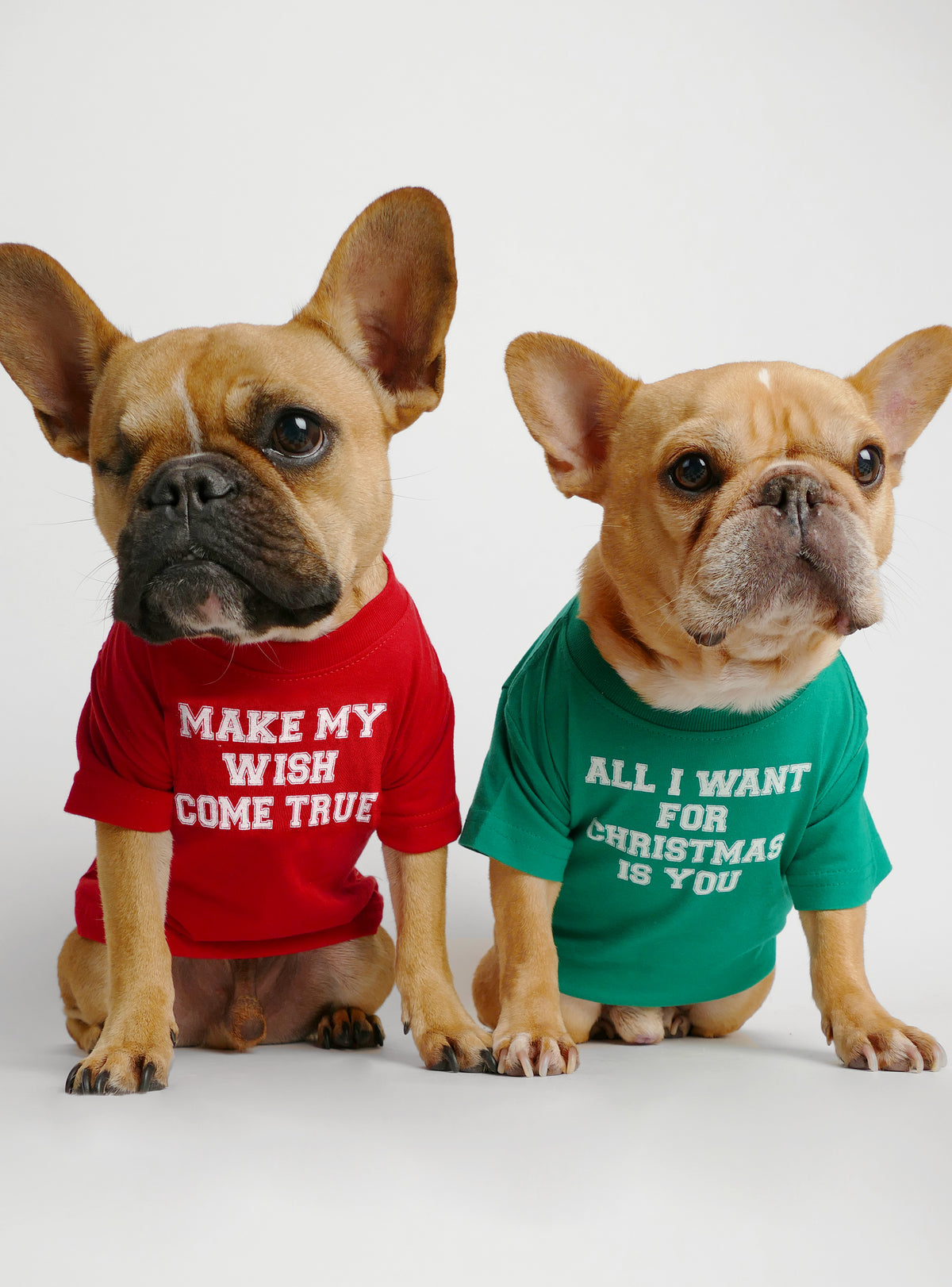 All I Want For Christmas Is You (2-Pack) Dog Tee