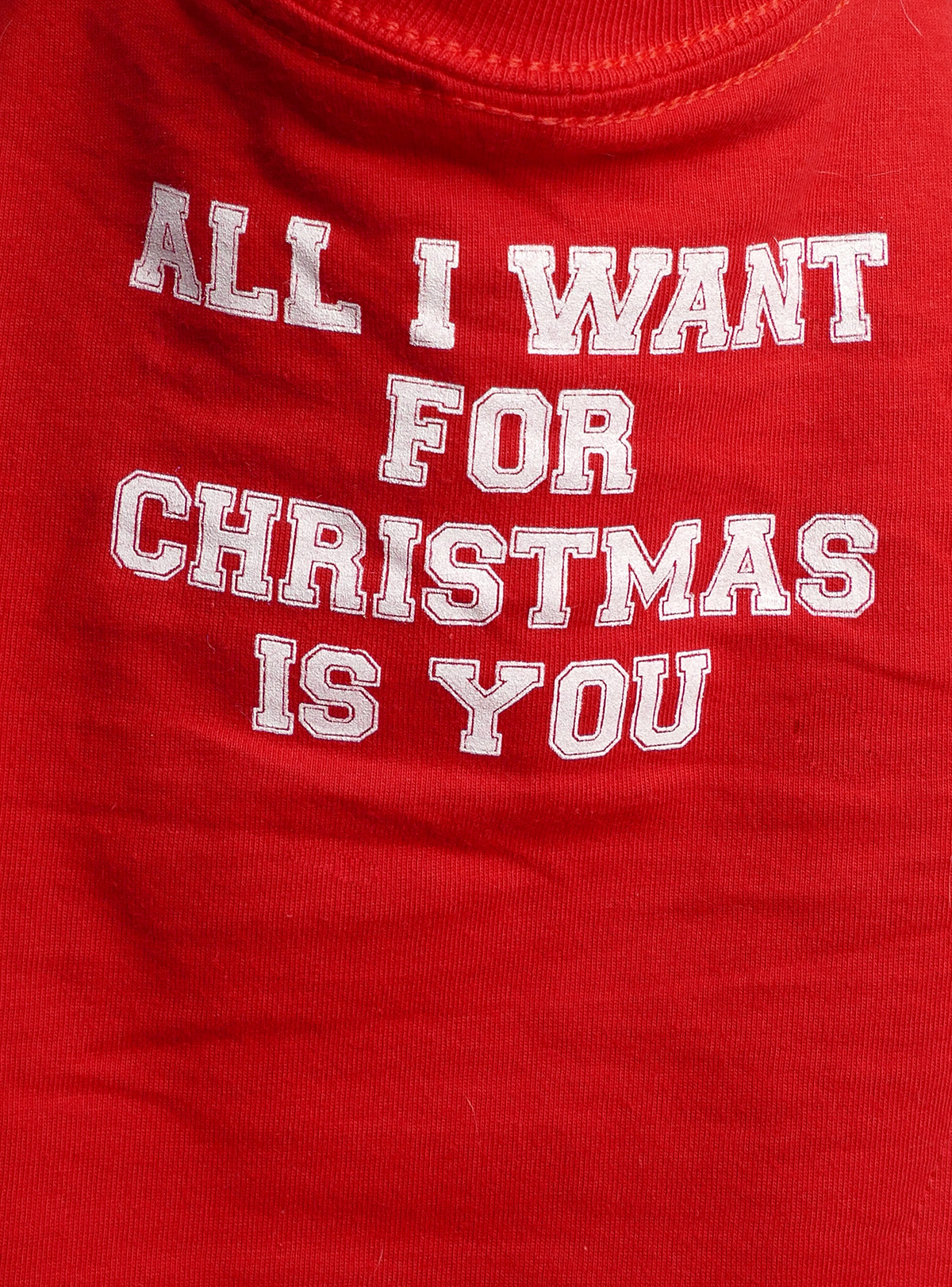 All I Want For Christmas Is You Dog Tee