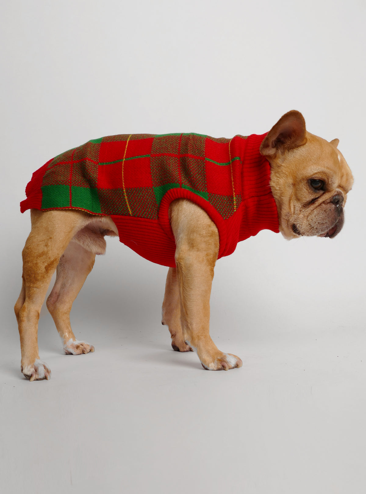 Tartan Season Dog Sweater