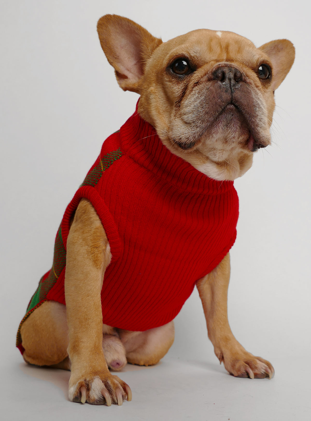 Tartan Season Dog Sweater