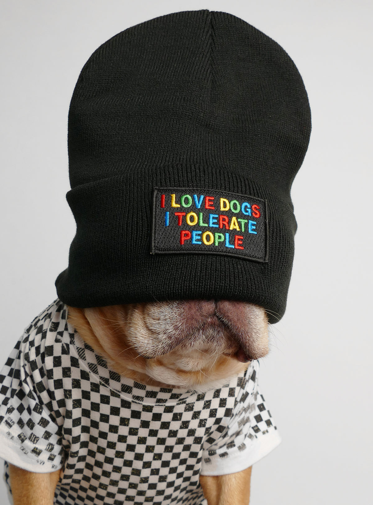 Love Dogs Tolerate People Beanie