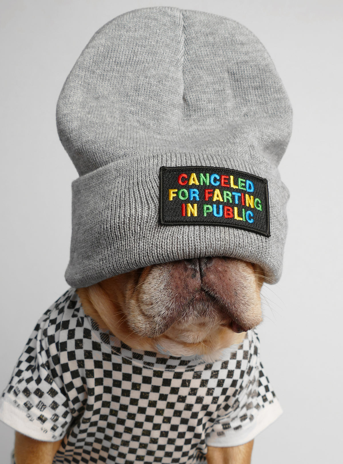 Canceled For Farting In Public Beanie