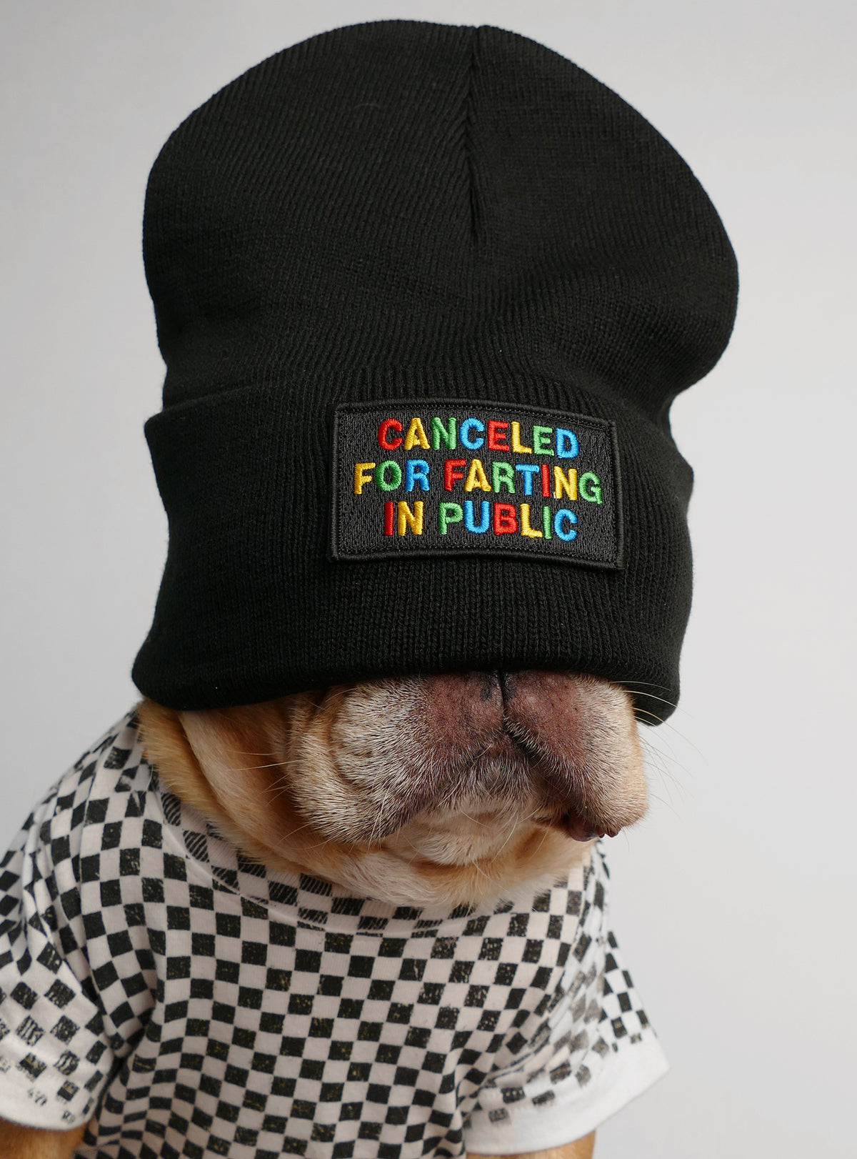 Canceled For Farting In Public Beanie
