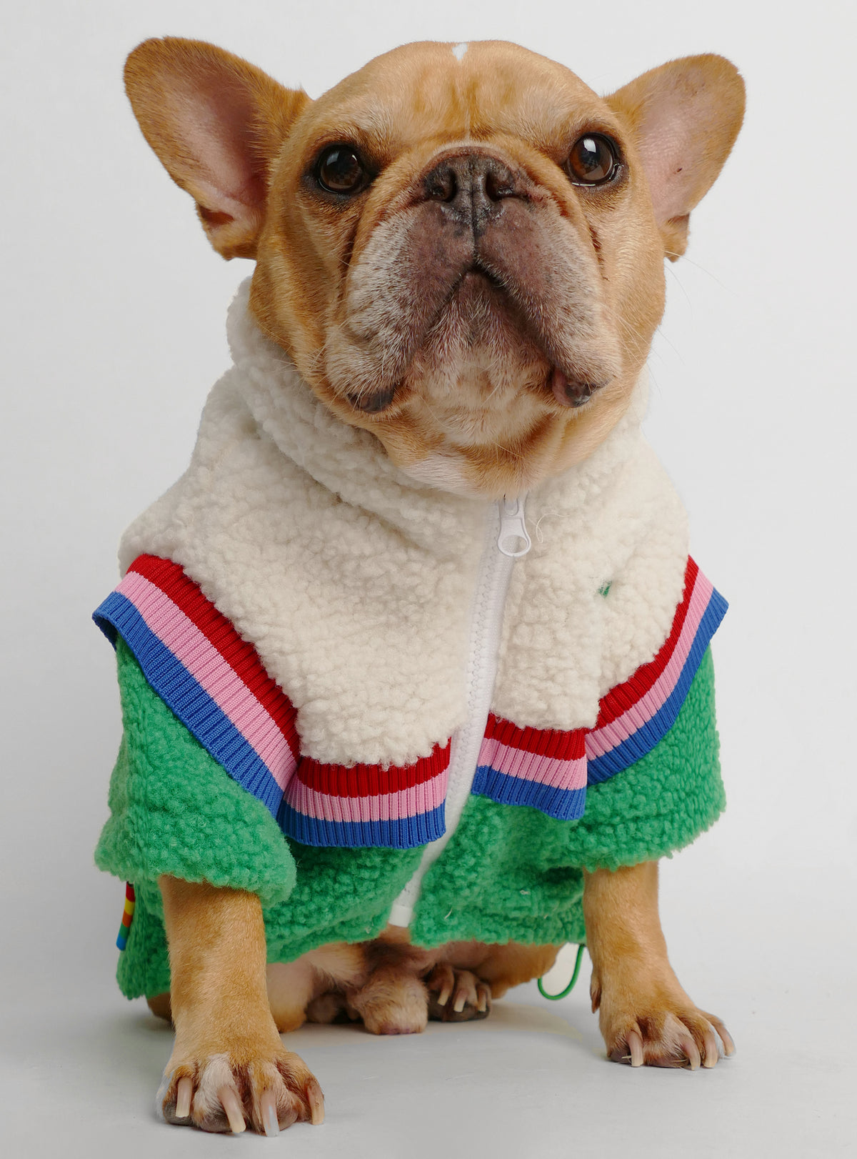 McEnroe Dog Sweater