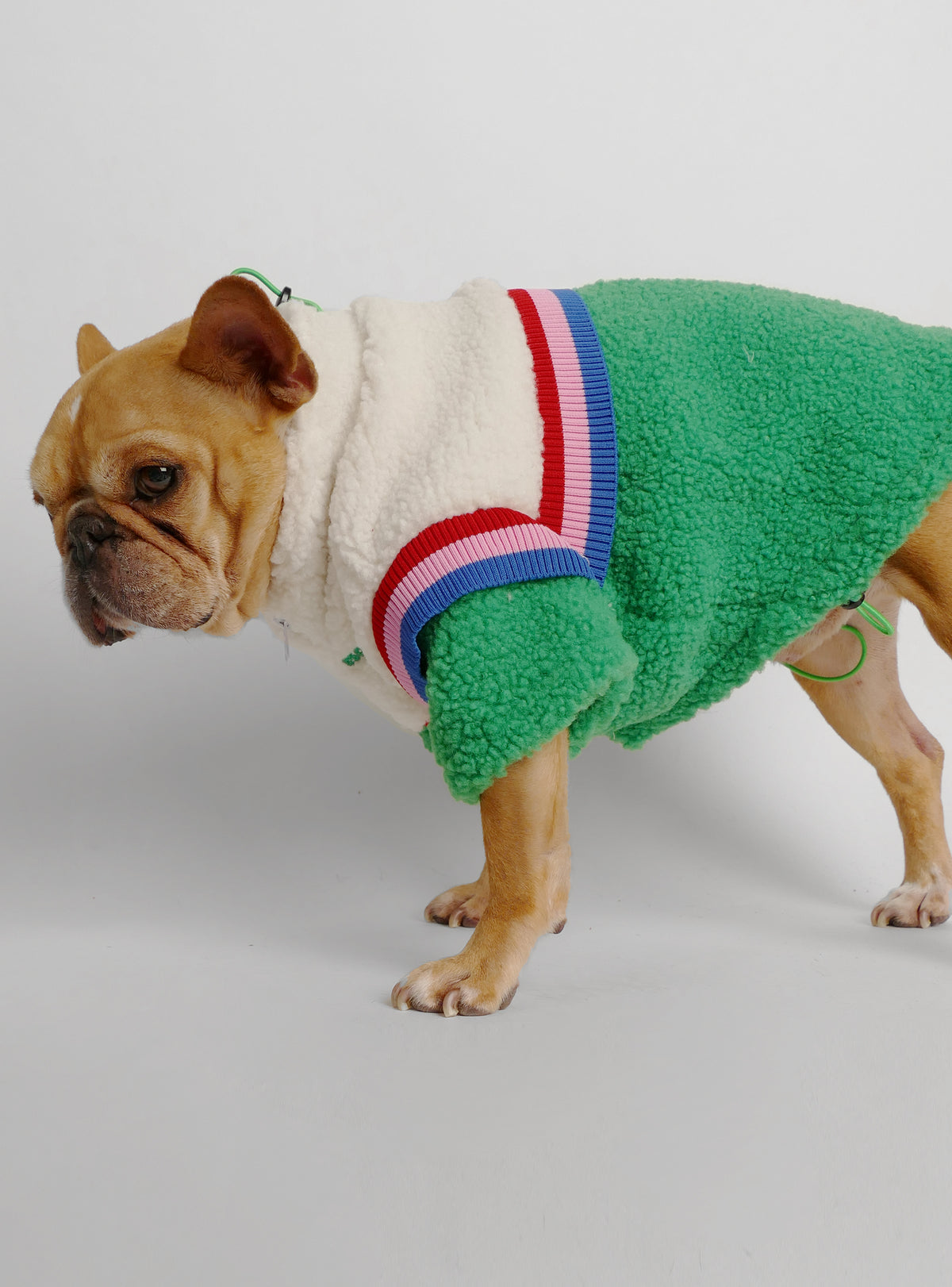 McEnroe Dog Sweater