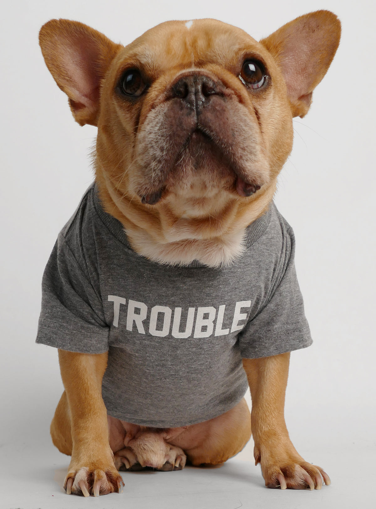 Trouble Dog Tee