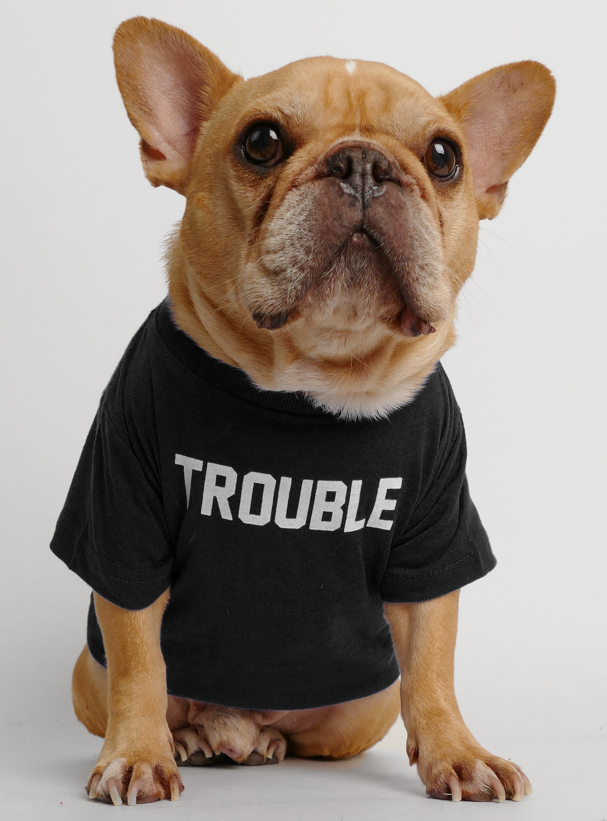 Trouble Dog Tee