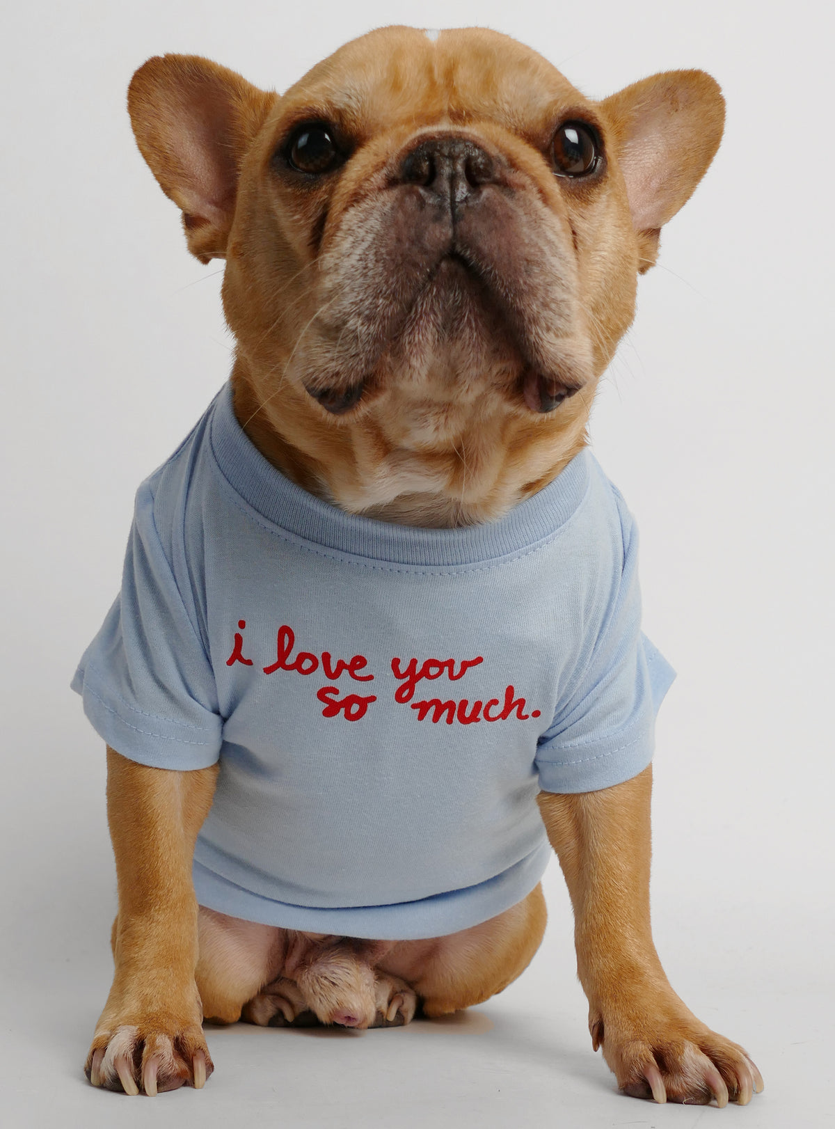 I Love You So Much Dog Tee