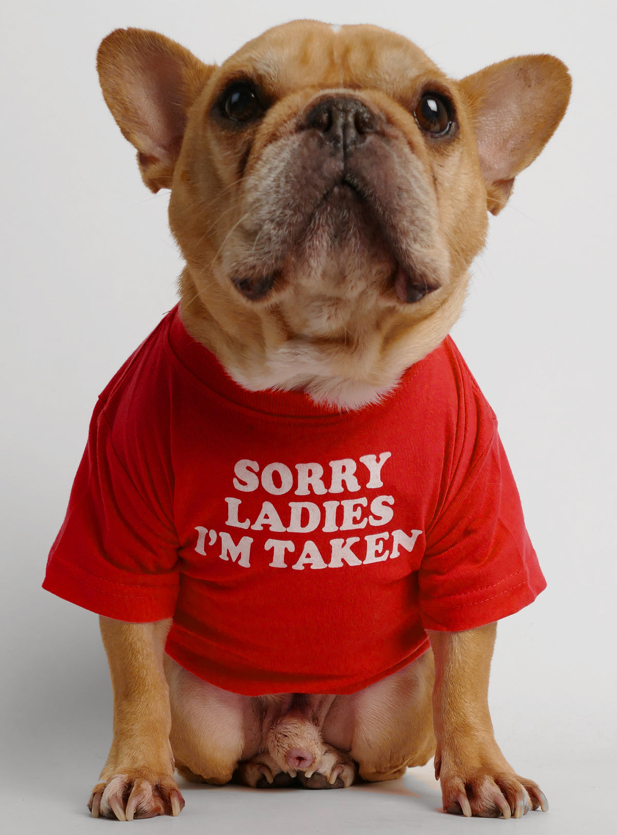 Sorry Ladies I&#39;m Taken Dog Tee