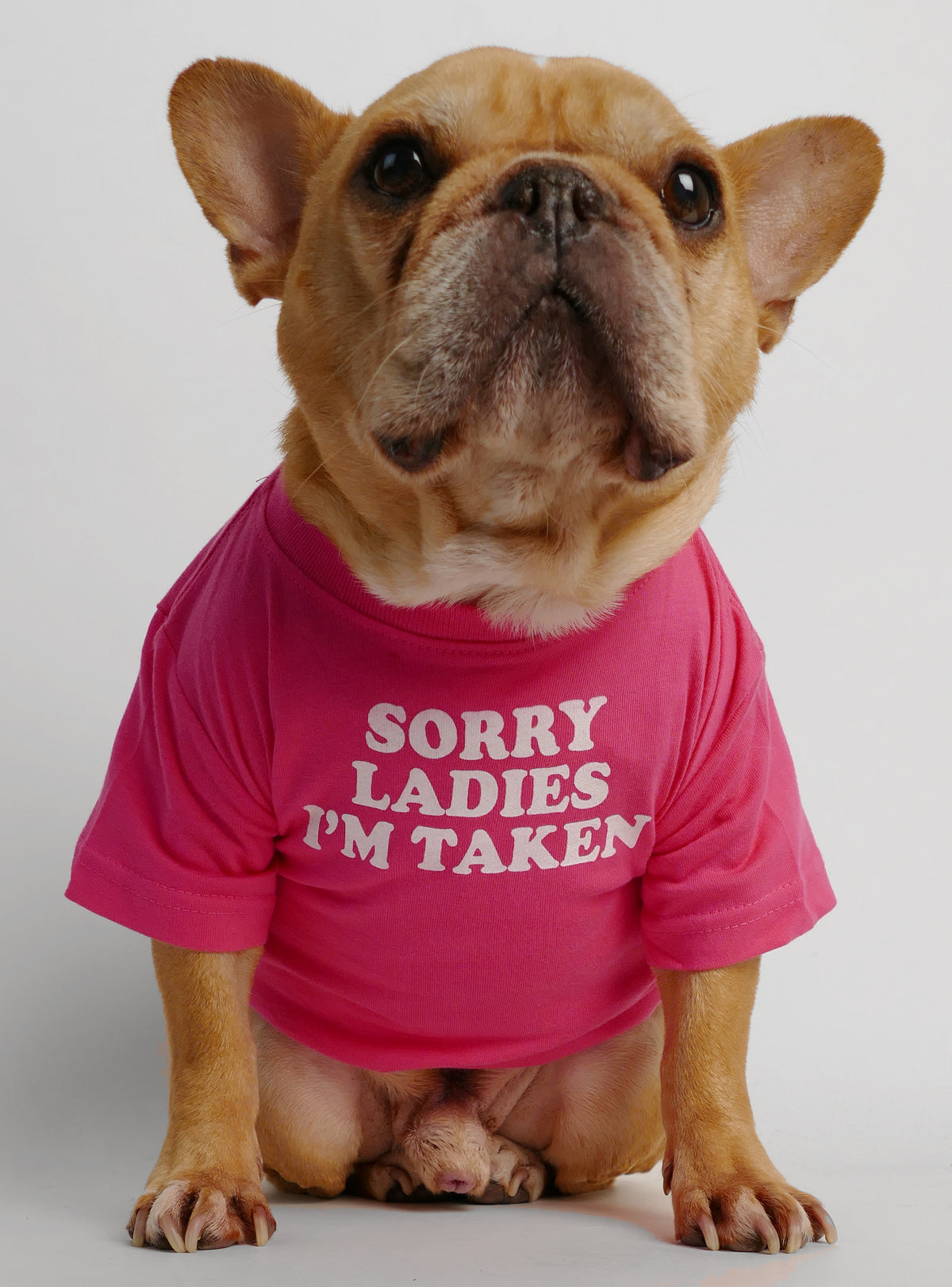 Sorry Ladies I&#39;m Taken Dog Tee