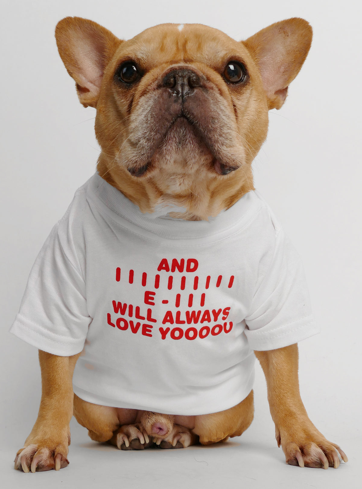 Whitney Houston Dog Tee