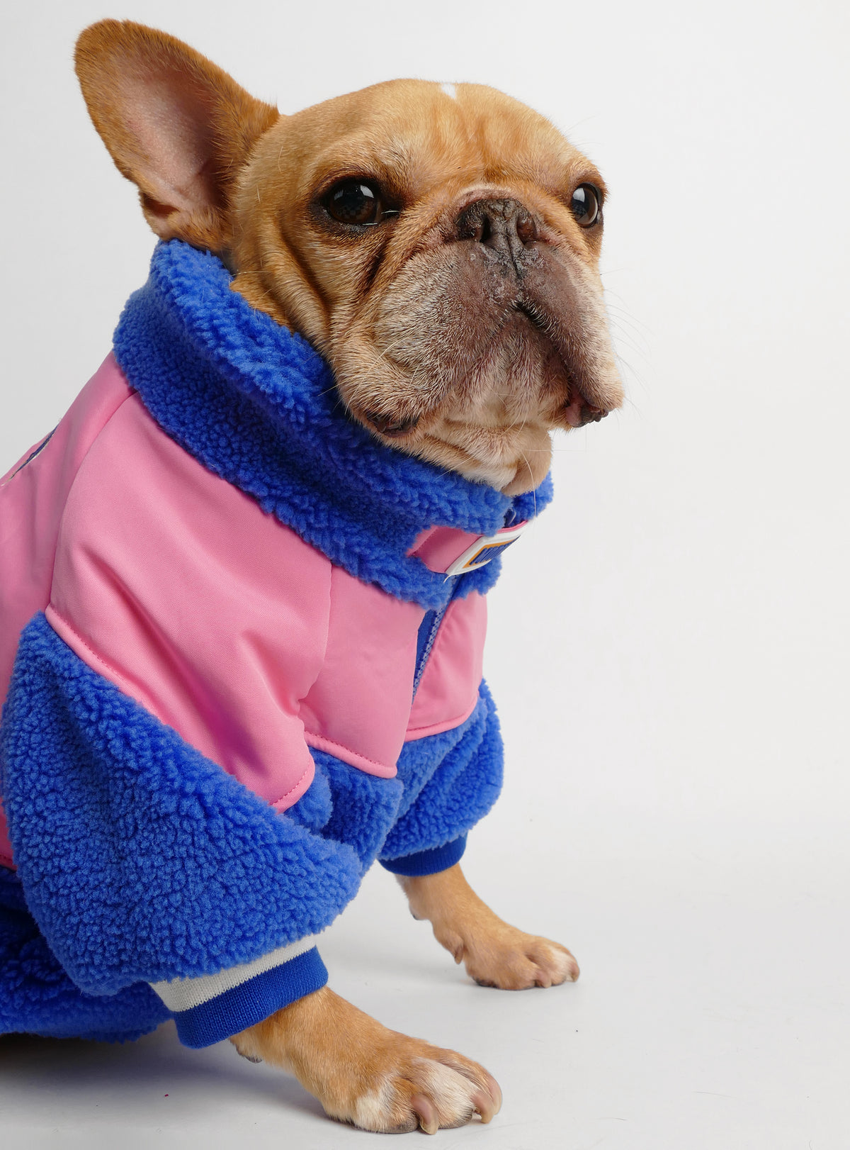 Haribo Dog Sweater