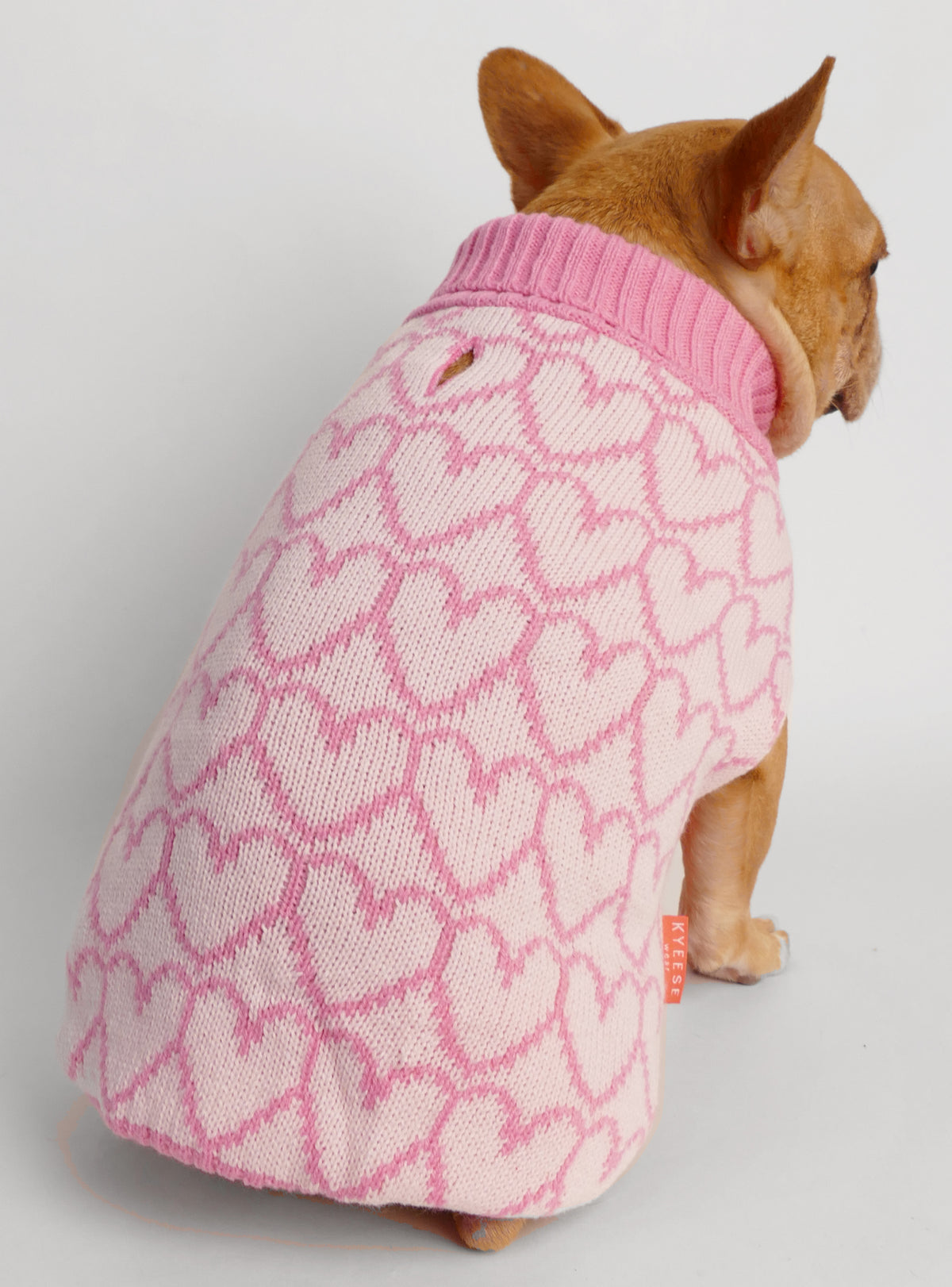 Lots Of Love Dog Sweater