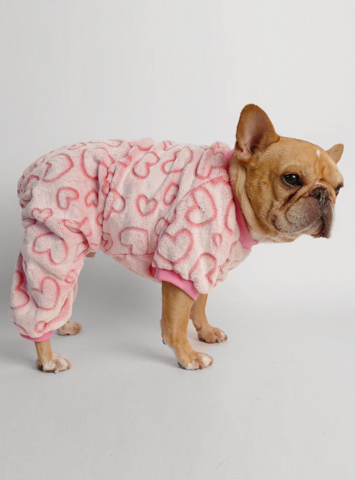 Modern Love Dog Pajamas Jumpsuit