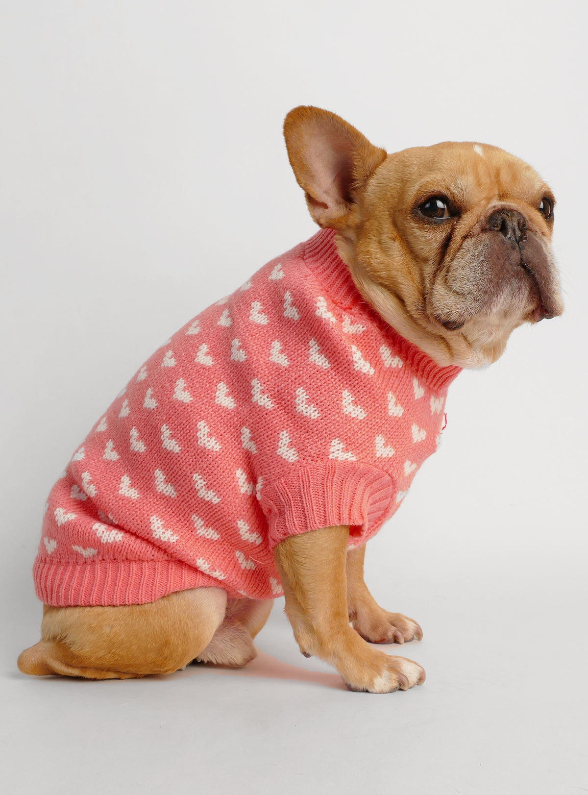 Happy Hearts Dog Sweater