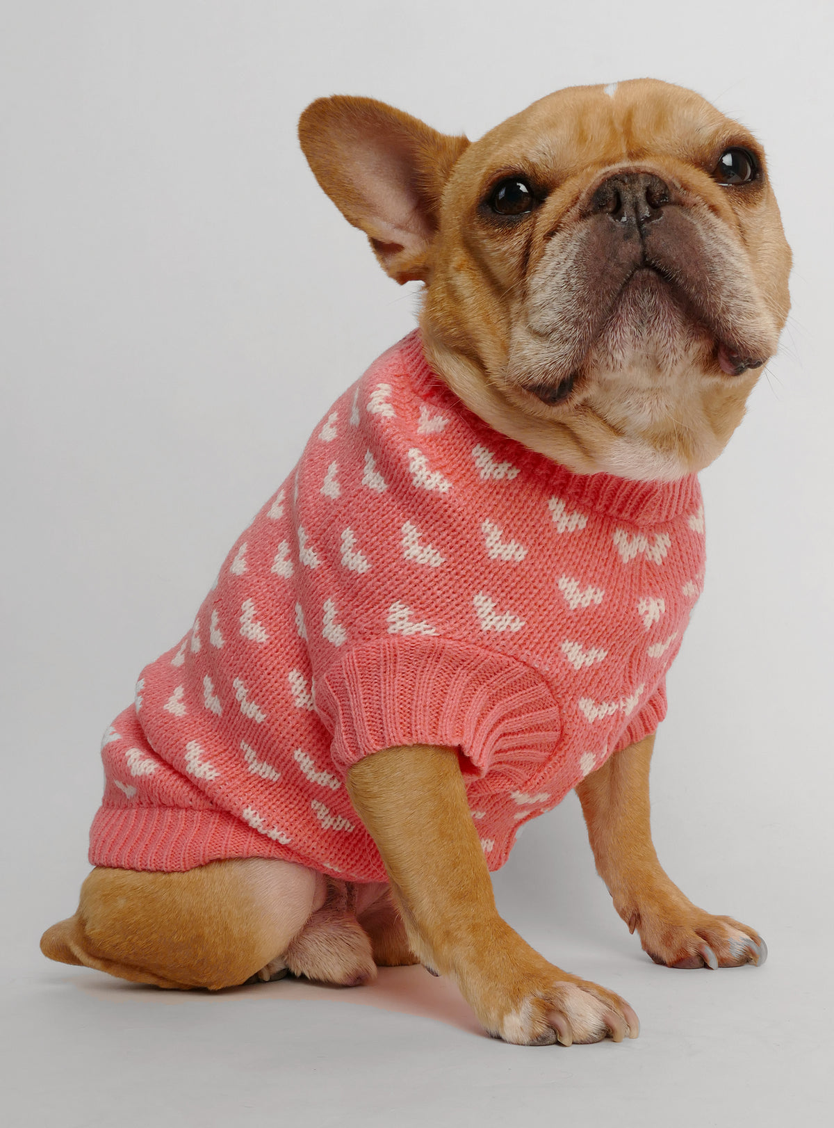 Happy Hearts Dog Sweater
