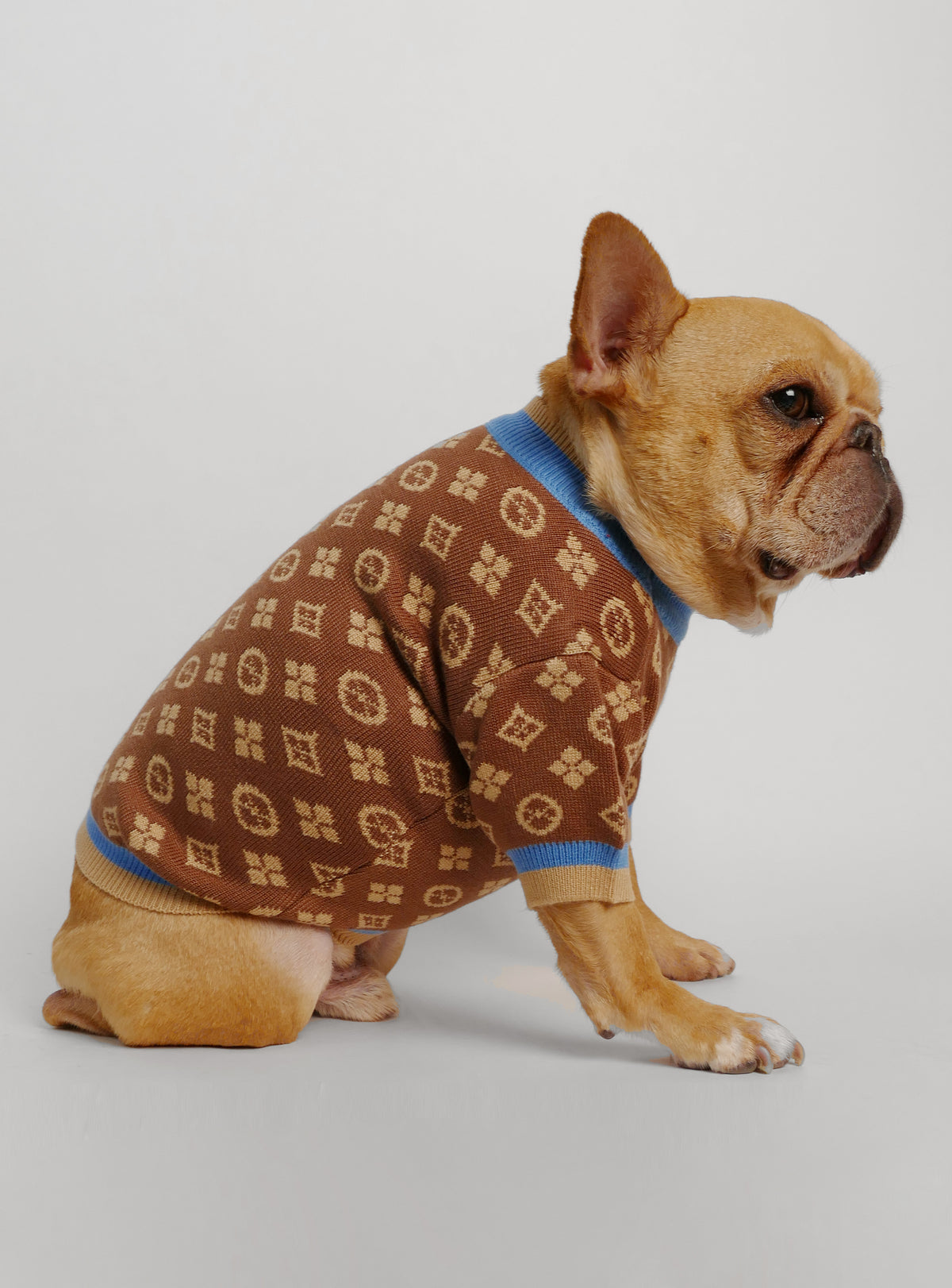 Louis Vuitton Dog Sweater