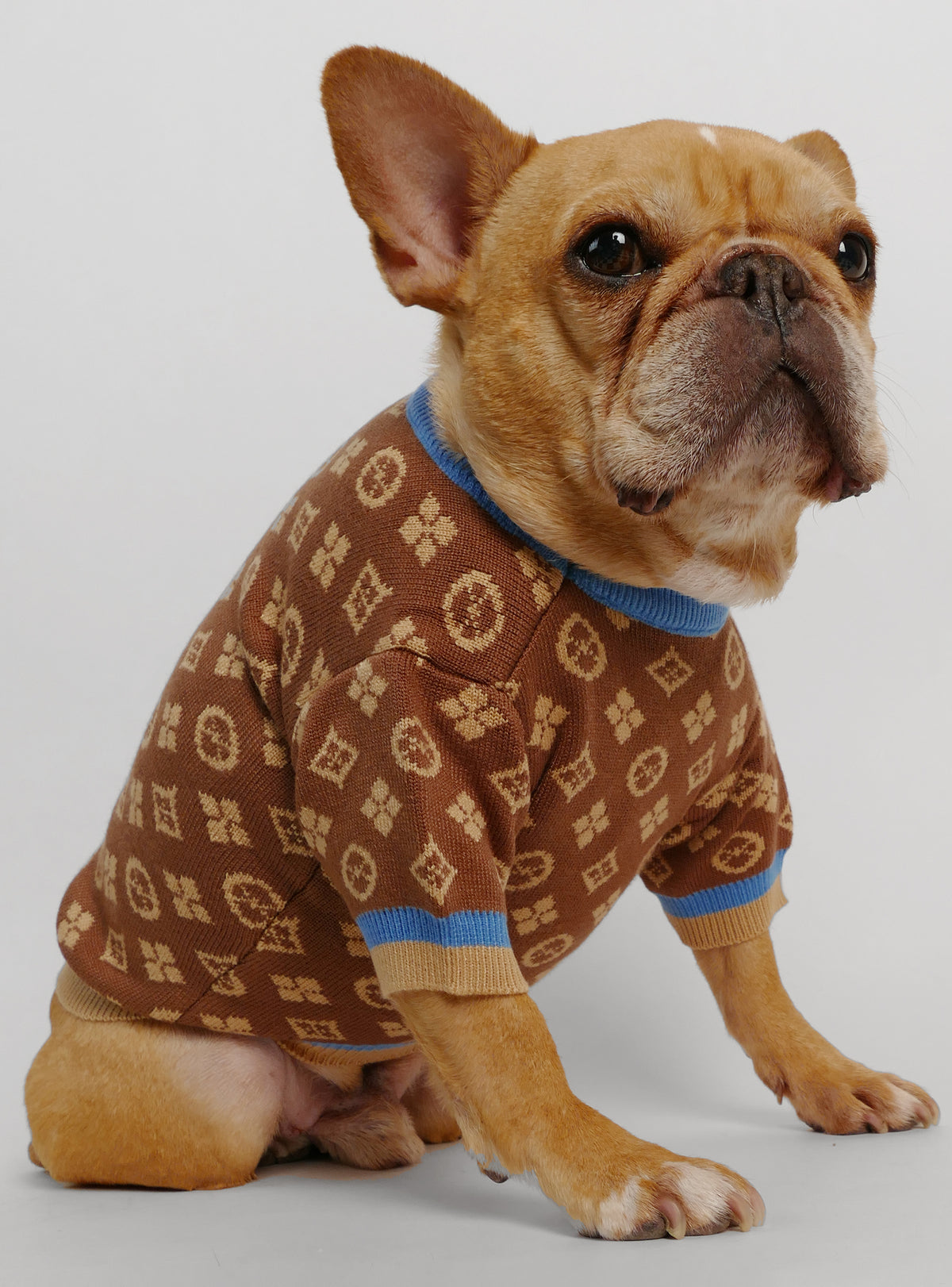 Louie Louie Dog Sweater