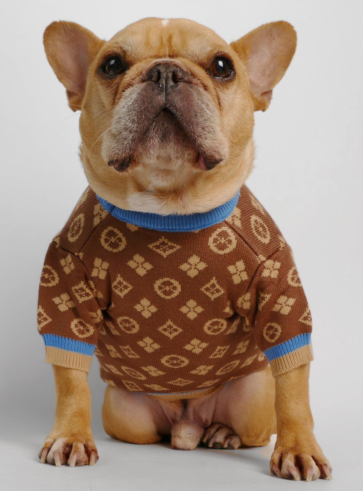 Louie Louie Dog Sweater