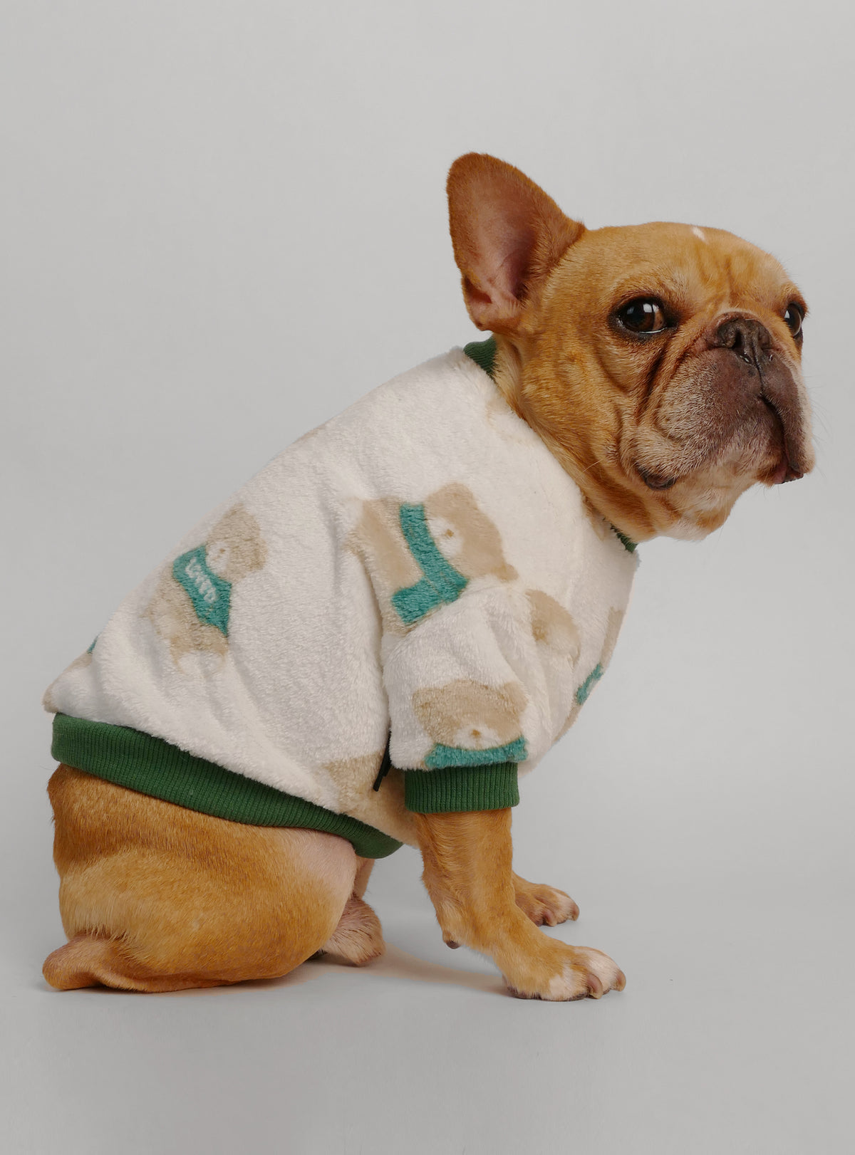 The Teddy Dog Sweater