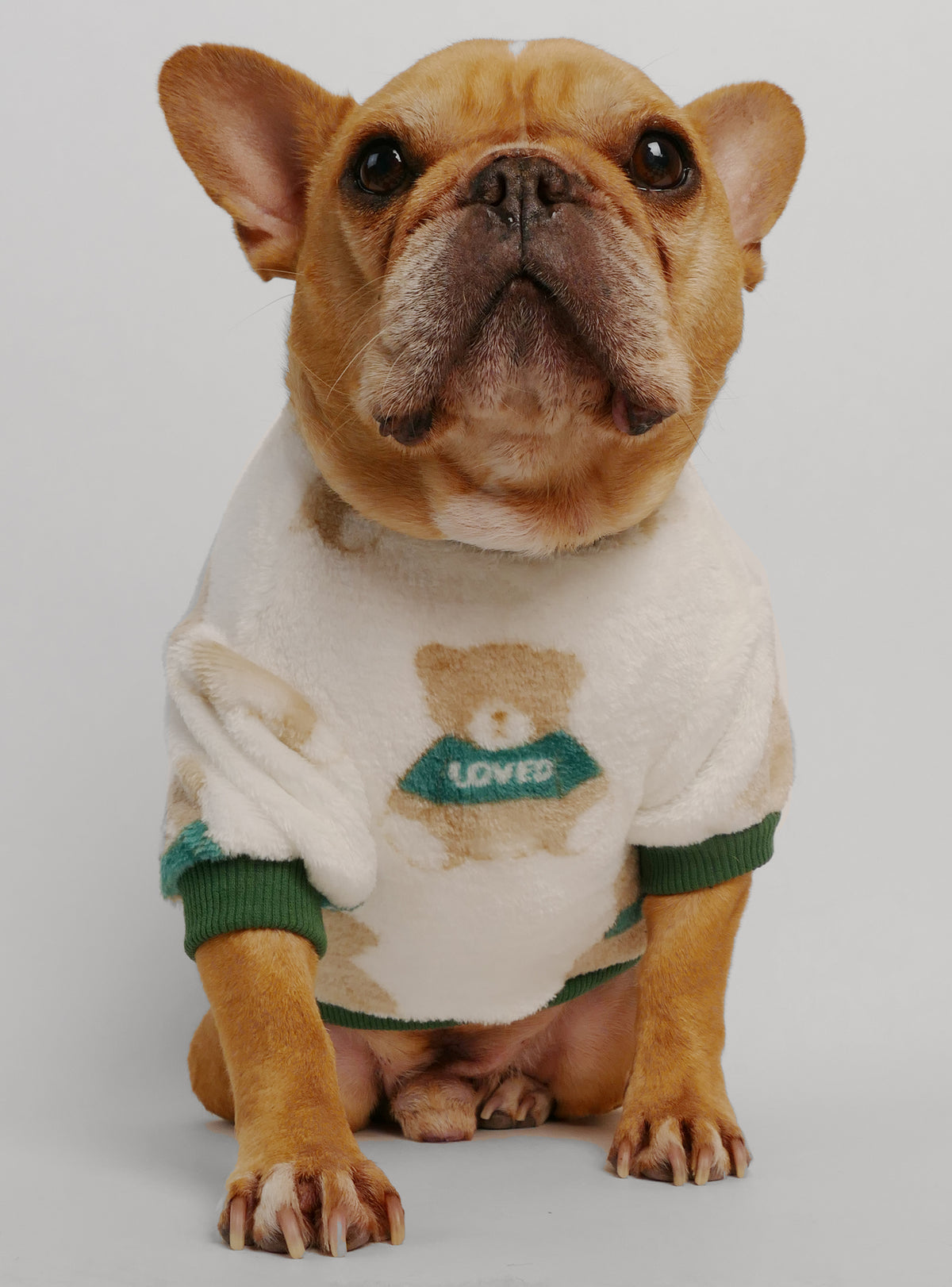 The Teddy Dog Sweater