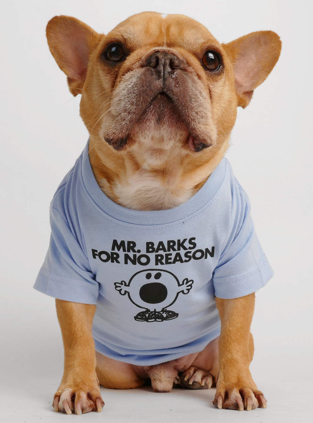 Mr. Barks For No Reason Dog Tee