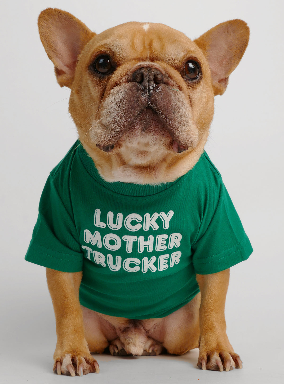 Lucky Mother Trucker Dog Tee