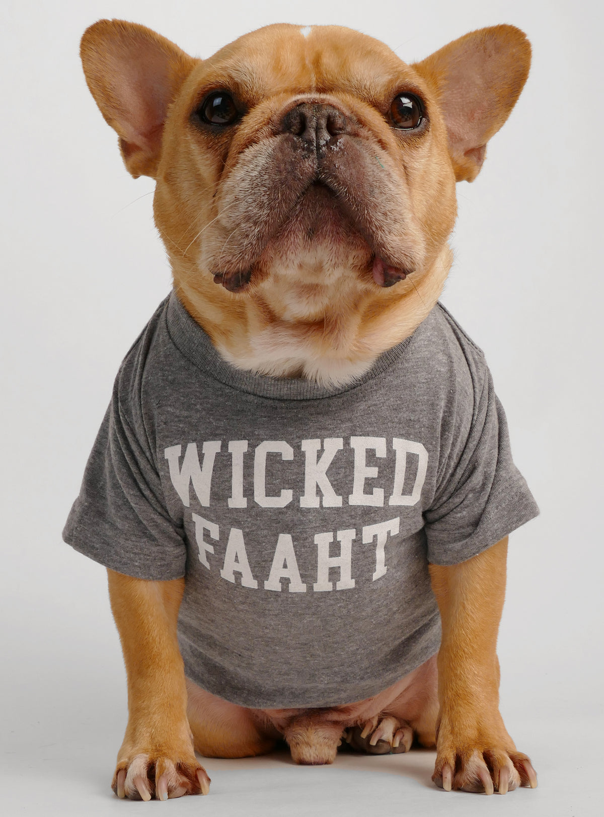 Wicked Faaht Dog Tee