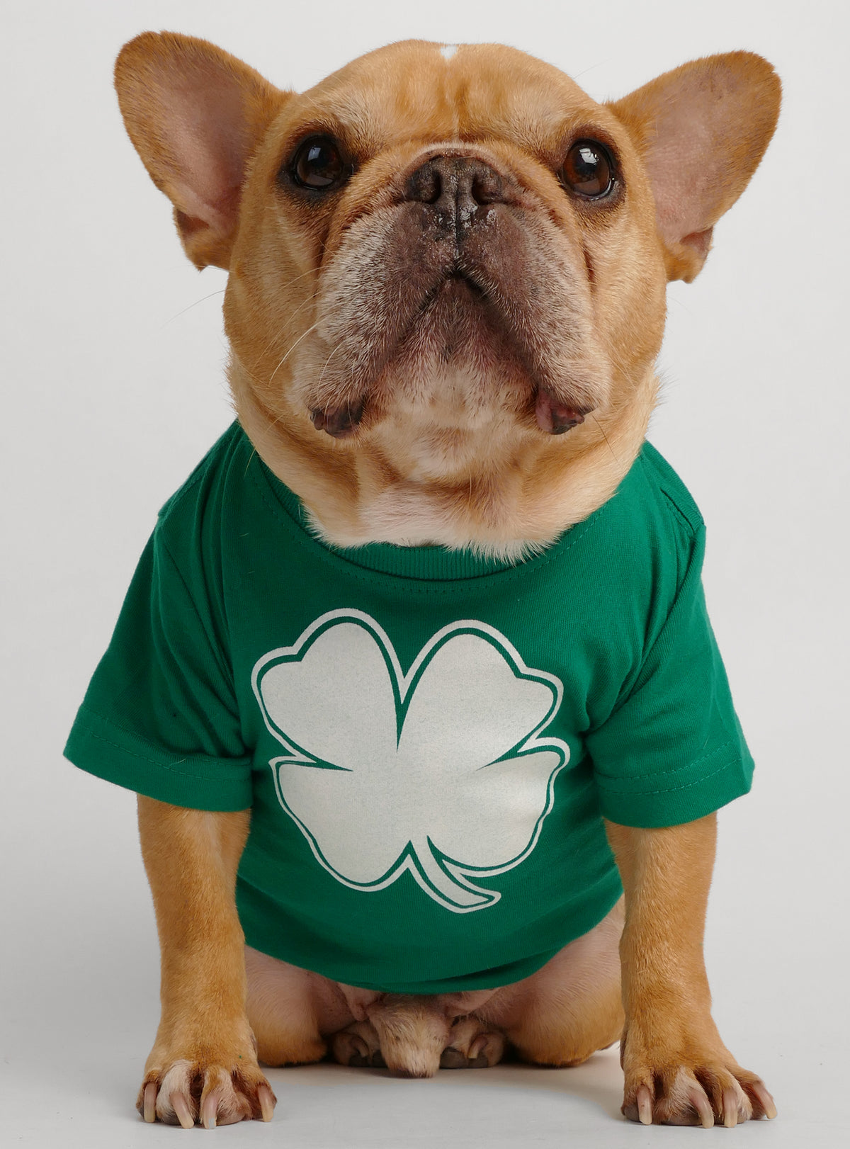 Clover Dog Tee