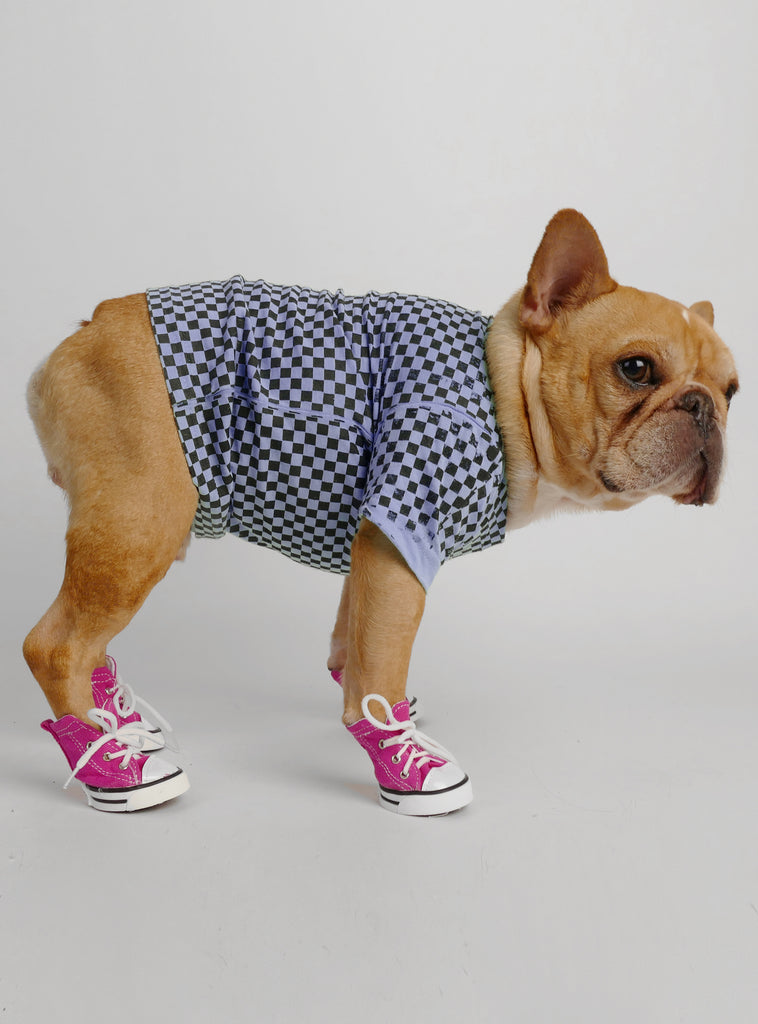 Converse with dogs on them best sale