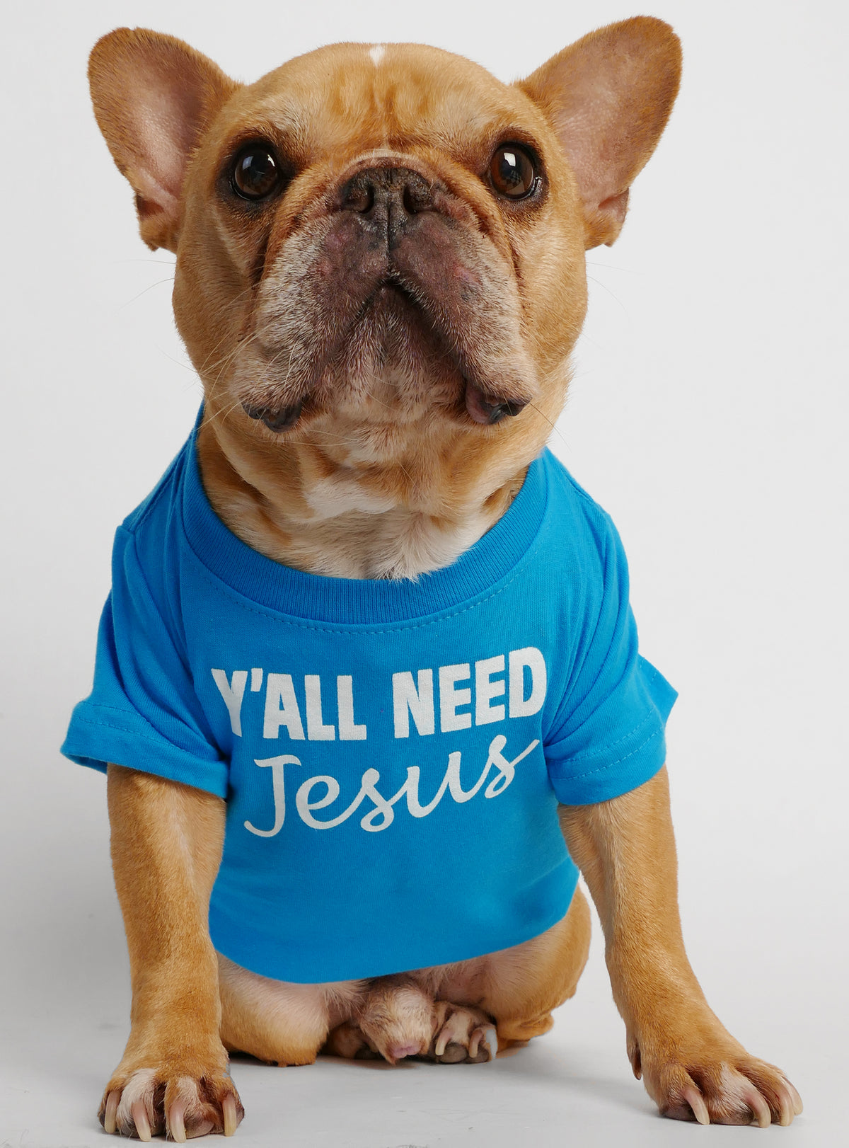 Y&#39;all Need Jesus Dog Tee