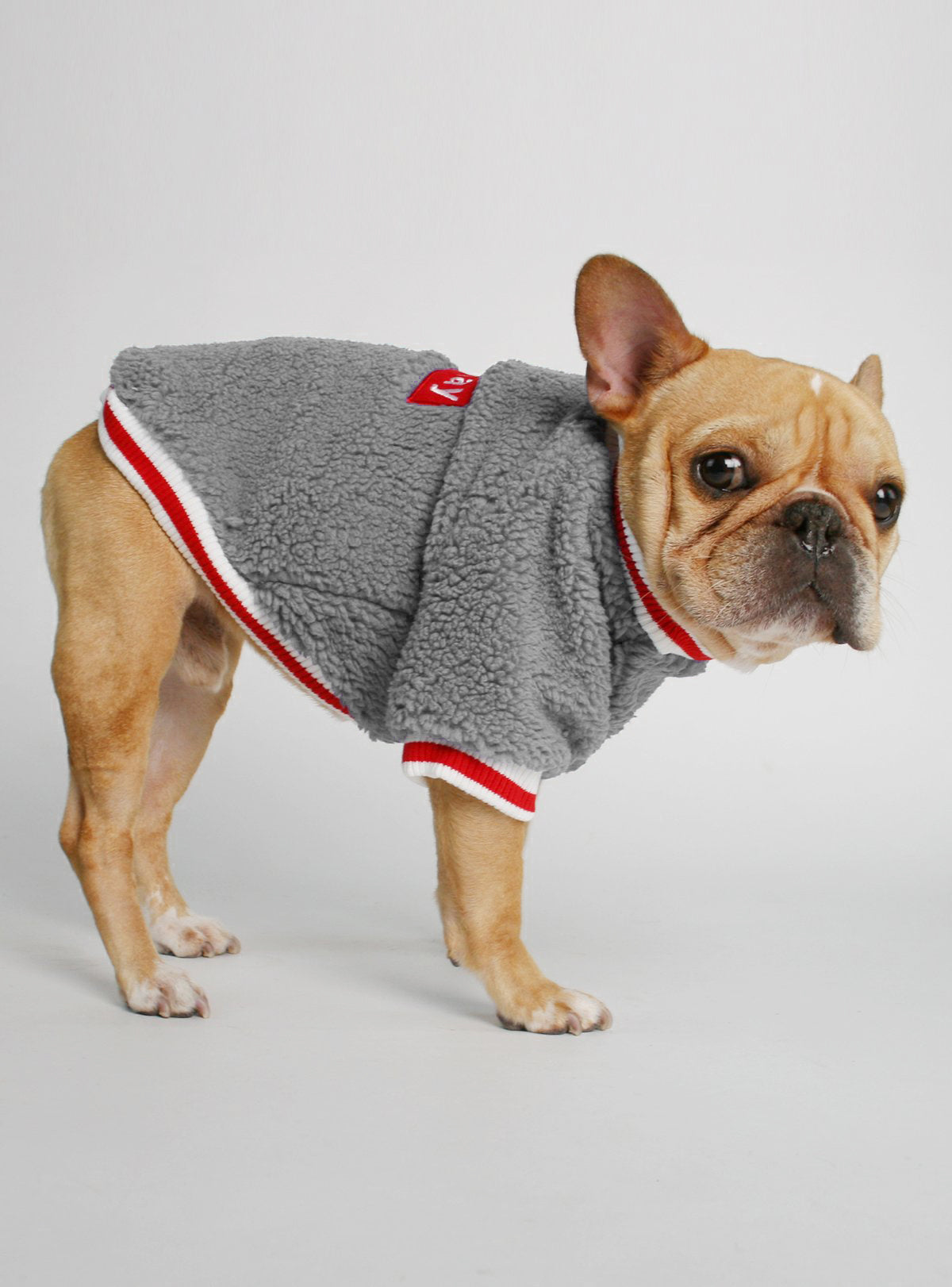 The Saturday Dog Sweater