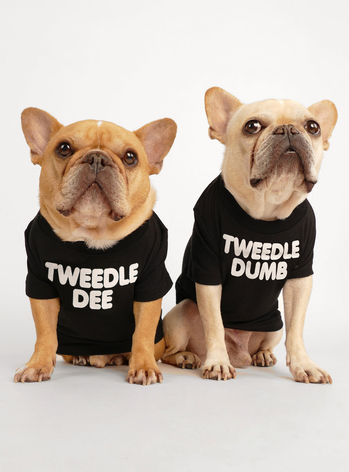 Tweedle Dee + Tweedle Dumb (2-Pack) Dog Tee