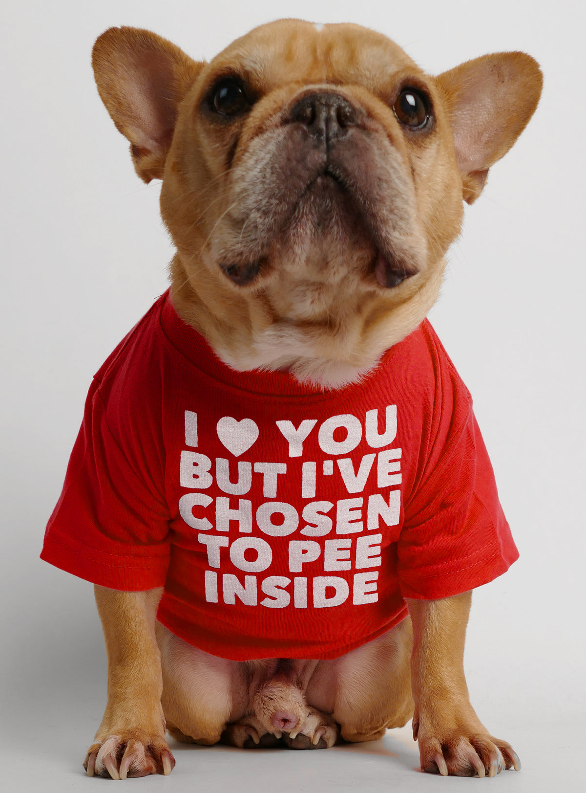 I Love You But I&#39;ve Chosen To Pee Inside Dog Tee