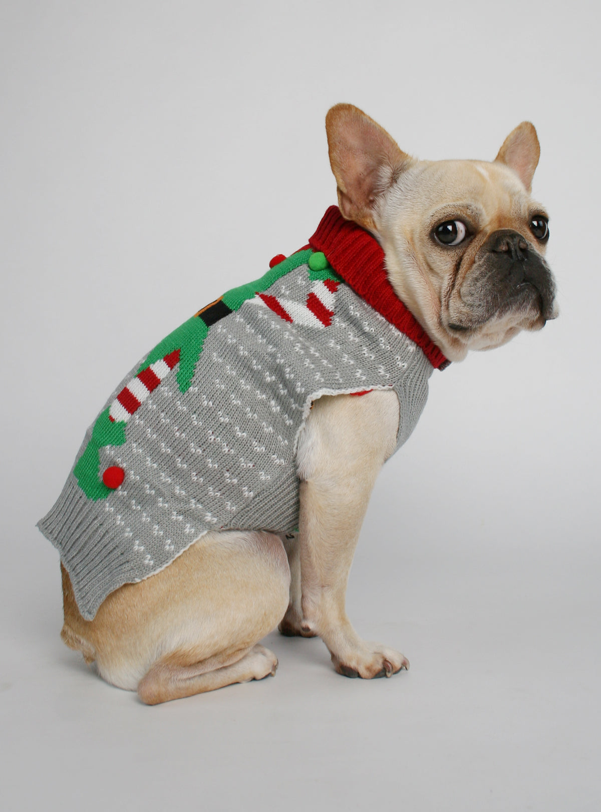 The Little Elf Dog Sweater