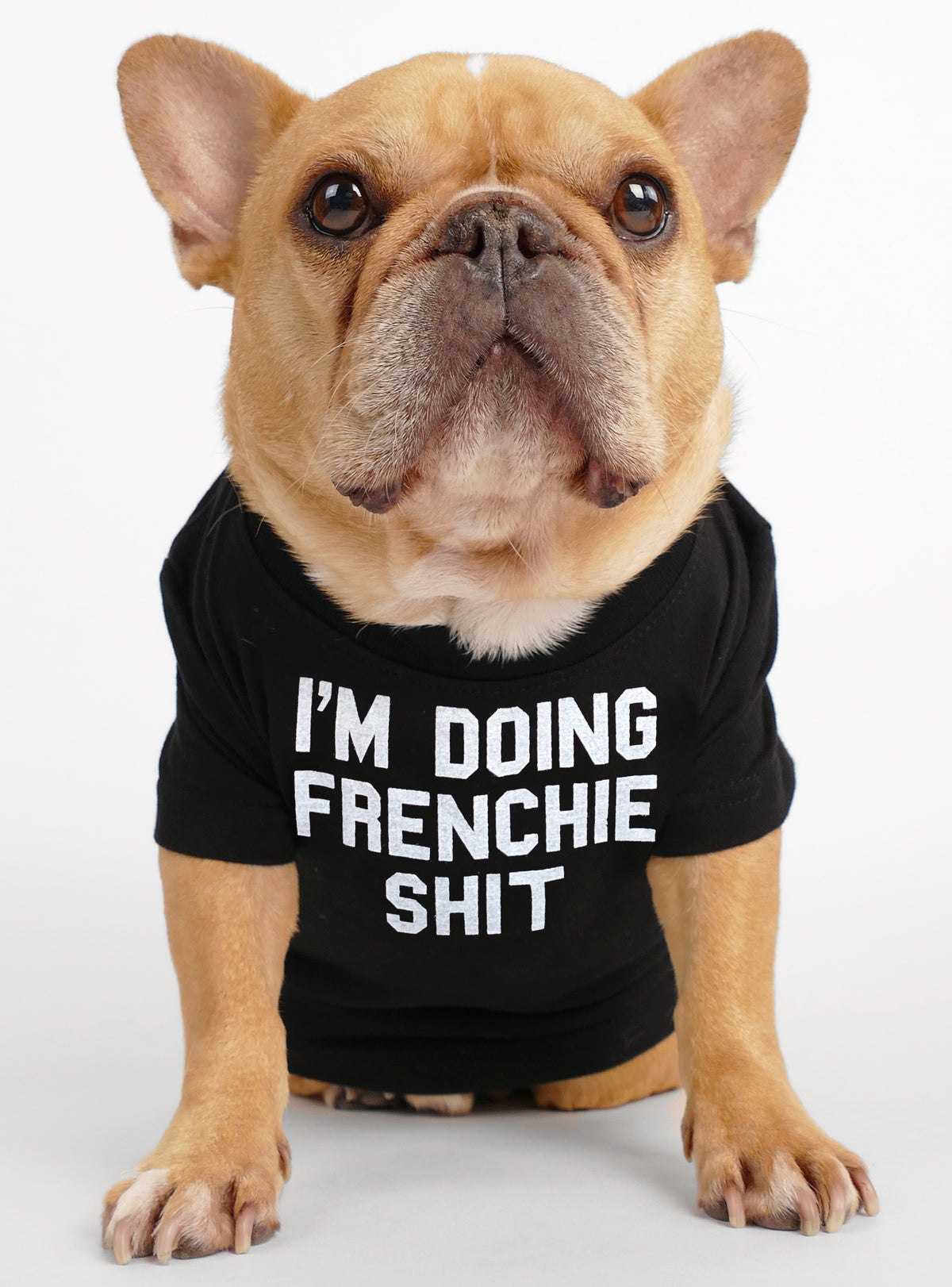 I'm Doing Frenchie Stuff Dog Tee - Club Huey